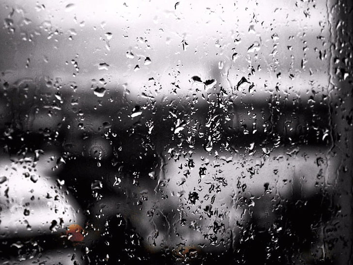 black and white floral textile, water drops, window, wet, rain, HD wallpaper