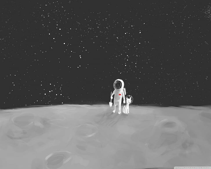 astronaut, pet, space, HD wallpaper