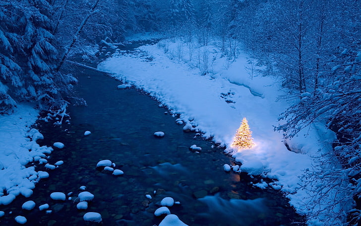 body of water, river, Christmas, trees, snow, Christmas Tree, HD wallpaper