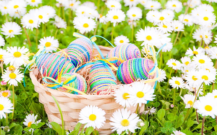 Easter, eggs, daisies, white flowers, spring, blue, yellow and gray yarn roll; white daisy field, HD wallpaper