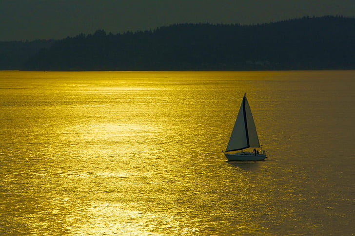 white boat in sea while in sunset, Sail On, Seattle, sailing