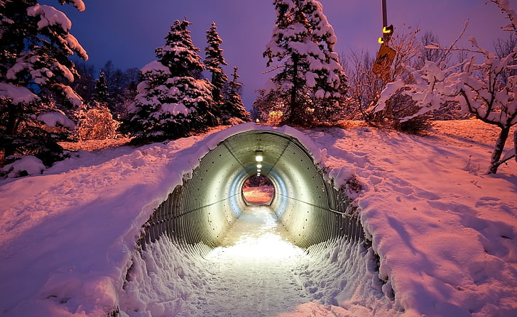gray steel tunnel, photography, nature, winter, trees, snow, night