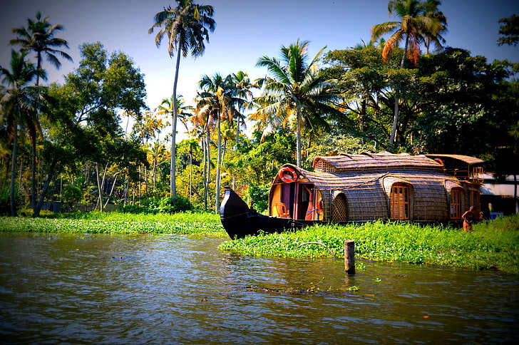 boats, coconuts, houseboats, kerala, trees, water, palm tree, HD wallpaper