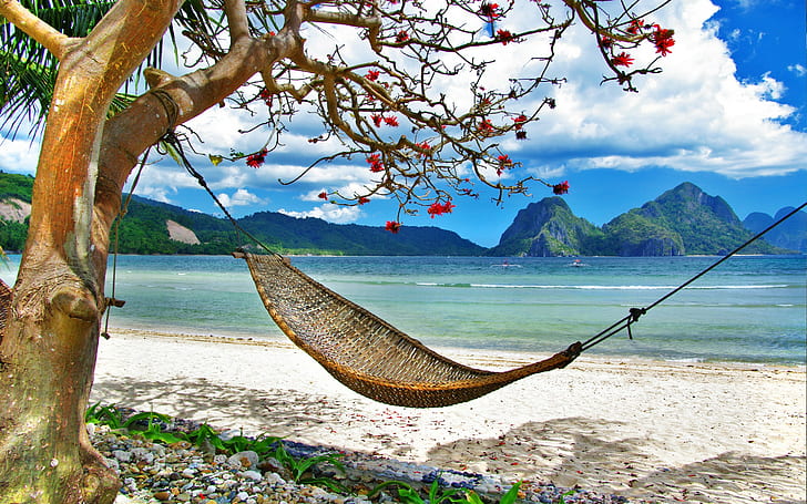 Tropical relax on beach, best, HD wallpaper