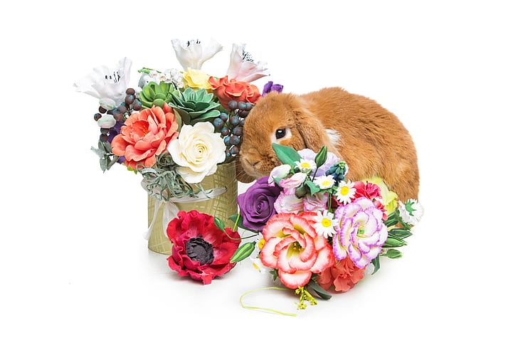 flowers, basket, rabbit, Easter, happy, spring, eggs, bunny, HD wallpaper