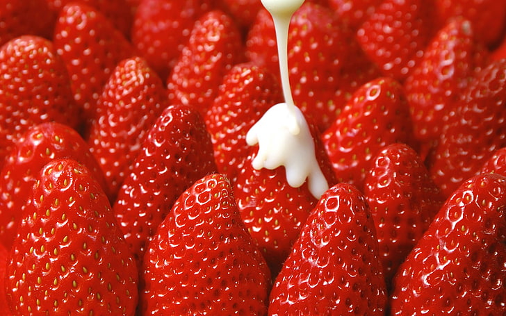 strawberries, fruit, Cream, food, red, food and drink, berry fruit, HD wallpaper