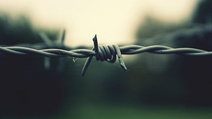 gray barbed wire, gray metal wire, security, connection, steel