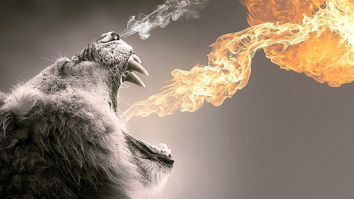 fire breathing lion poster, abstract, animals, one animal, mammal, HD wallpaper