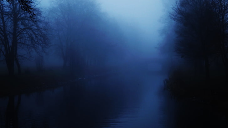 foggy road, mist, water, trees, bridge, landscape, blue, river