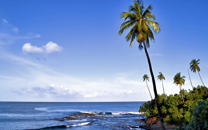 nature, landscape, palm trees, island, coast, HD wallpaper