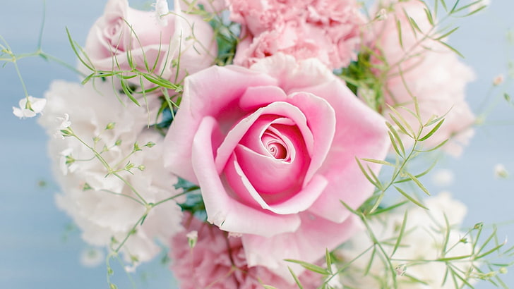 rose, pink, bouquet, flower, blossom, floral, petal, love, valentine, HD wallpaper