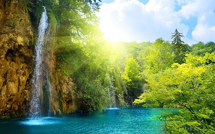 waterfalls and forest painting, sun, light, bright, nature, tree, HD wallpaper