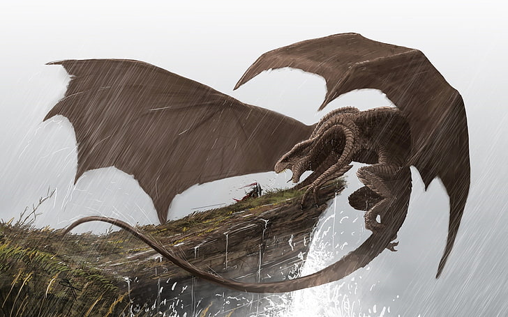 5000-Year Old Herbivorous Dragon Anime Adaptation Announced - Niche Gamer