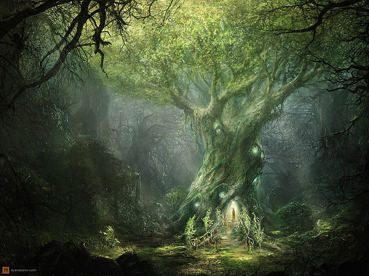 painting of green tree, fantasy art, forest, plant, land, beauty in nature, HD wallpaper