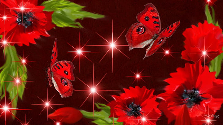 HD red red butterfly wallpapers  Peakpx