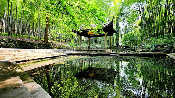 black wooden hut, photo of white concrete pergola in the middle of forest