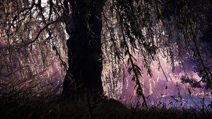 Calm, plants, relaxing, Shadow Warrior 2, Weeping willow, willow trees, HD wallpaper