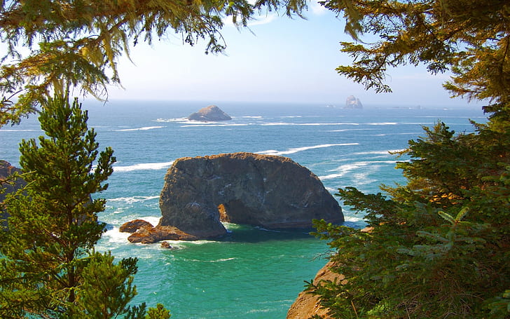 Pacific coast, sea waves, rocks, trees, Oregon, USA, HD wallpaper