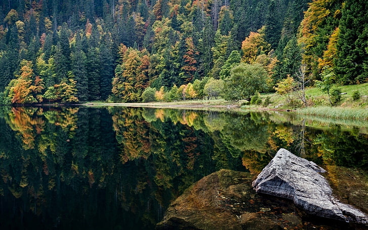 landscape photography of lake surrounded by trees during daytime