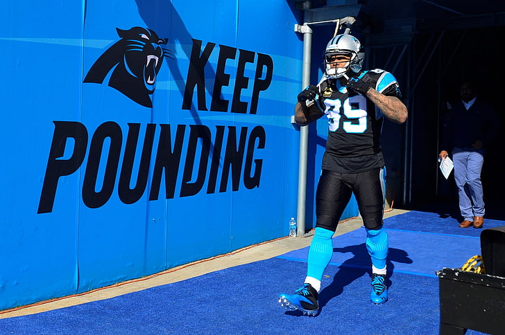 carolina panthers  for mac, text, real people, western script, HD wallpaper