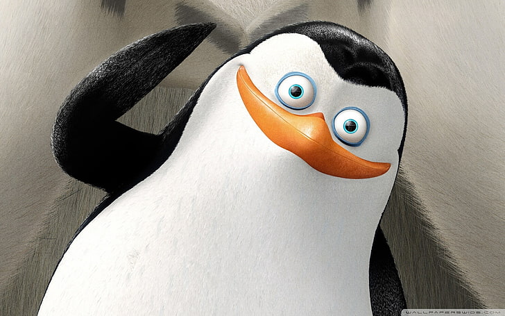Penguins of Madagascar, cartoon, movies, close-up, representation, HD wallpaper