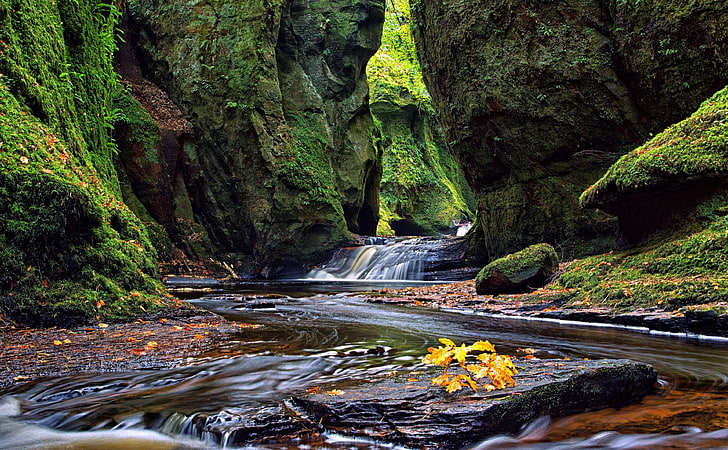 A Walk Through Finnich Glen, Europe, United Kingdom, Nature, Beautiful, HD wallpaper