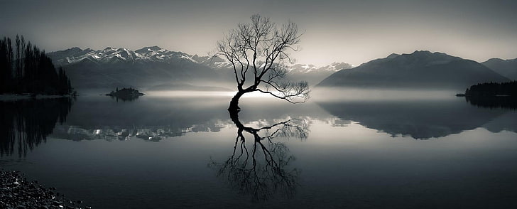silhouette of bare tree on body of water near mountain at daytime