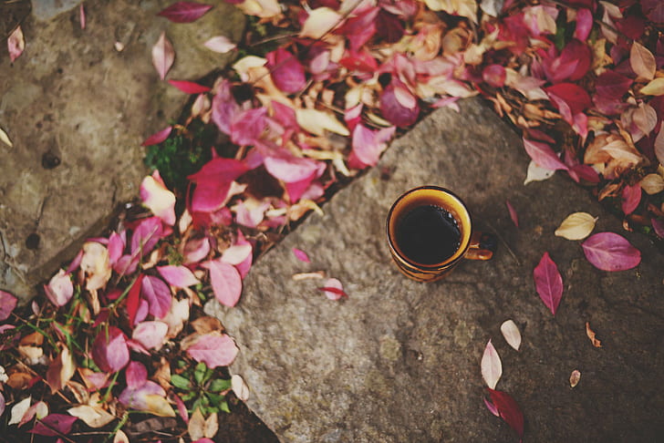 cup, fall, leaves, fallen leaves, coffee, HD wallpaper