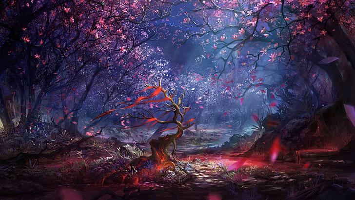 forest 4k background  for pc