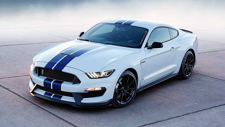 white and blue Shelby Mustang coupe, car, Ford Mustang Shelby, HD wallpaper