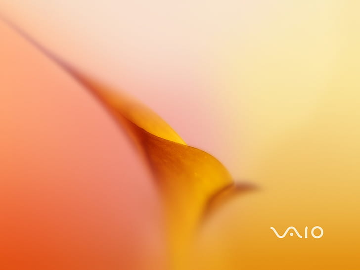 Sony VAIO 4, HD wallpaper