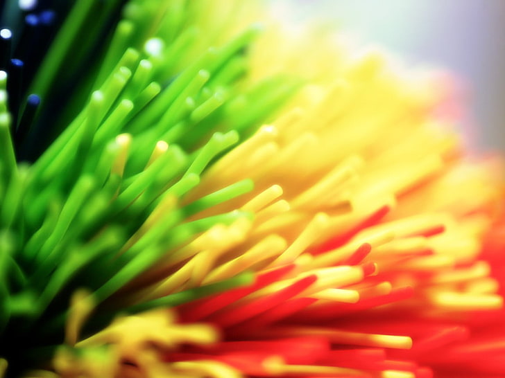 grass drying mat, colorful, selective focus, close-up, plant, HD wallpaper