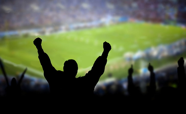 Soccer Fans, silhouette photo of a person in stadium, Sports