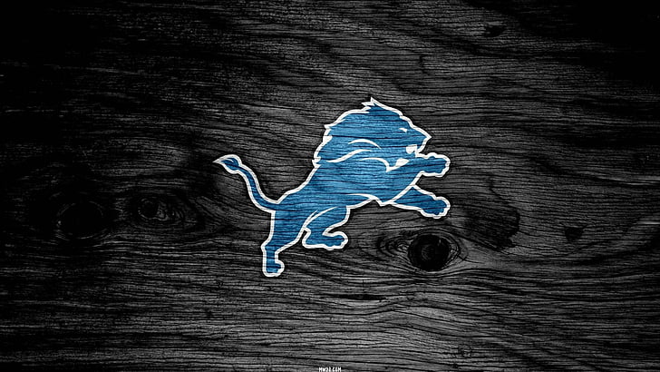 Football, Detroit Lions, blue, wood - material, no people, indoors