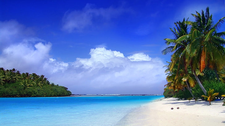 sea and green trees, beach, tropics, sand, palm trees, clouds, HD wallpaper