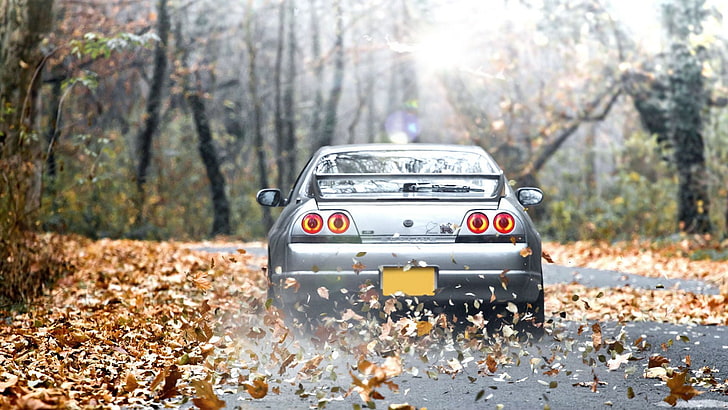 silver Nissan Skyline GT-R r32, The sun, Autumn, Machine, Desktop