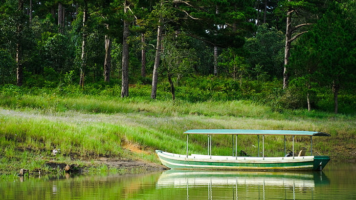 boat, tuyen lam lake, forest, da lat, vietnam, asia, landscape, HD wallpaper