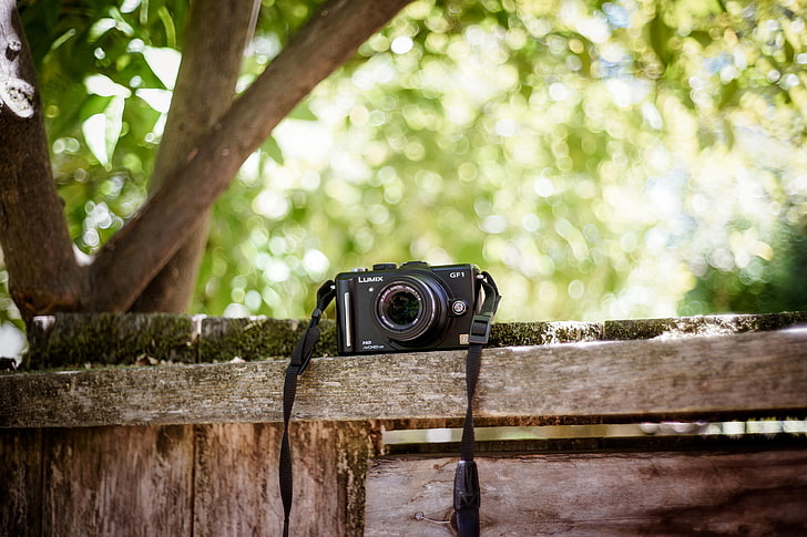 background, camera, Panasonic GF1, Olympus 45mm f1.8
