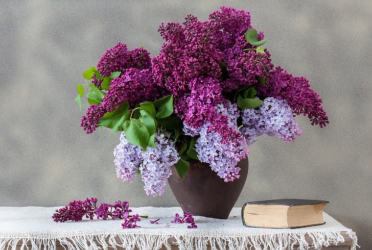 purple lilac flowers centerpiece, bouquet, book, flowering plant