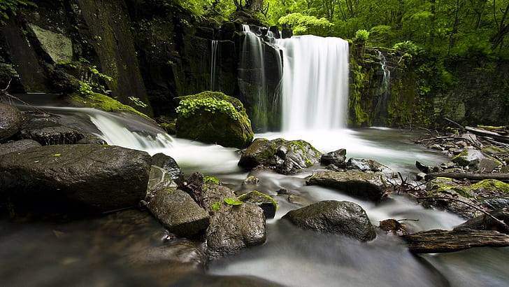 Nature, Waterfall, River, Forest, Rock, time lapse of waterfalls, HD wallpaper