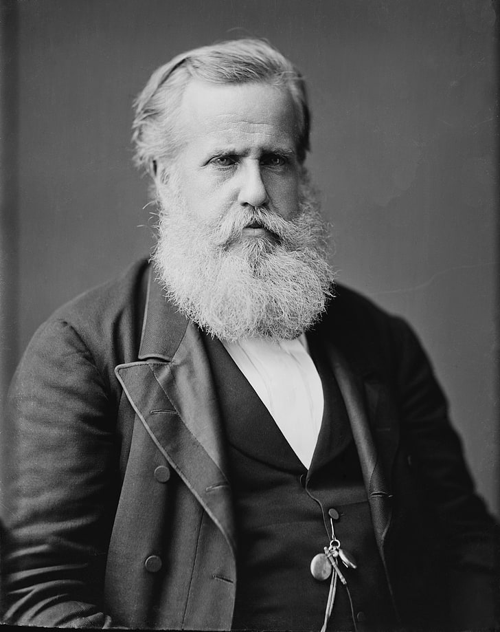 Dom Pedro II, old, vintage, Brazilian, Political Figure, emperor