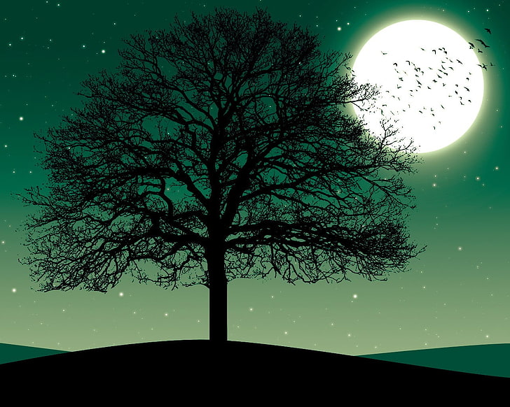 silhouette of tree under full moon sky, trees, nature, plant, HD wallpaper