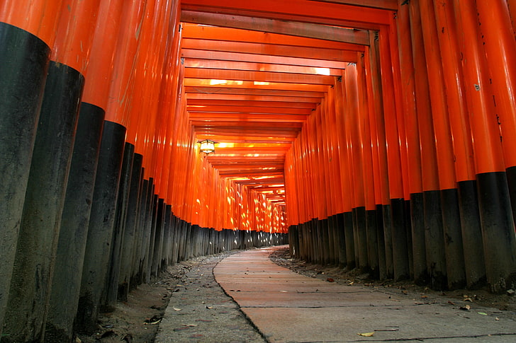 red-and-black pillars, orange, torii, path, Japan, the way forward, HD wallpaper
