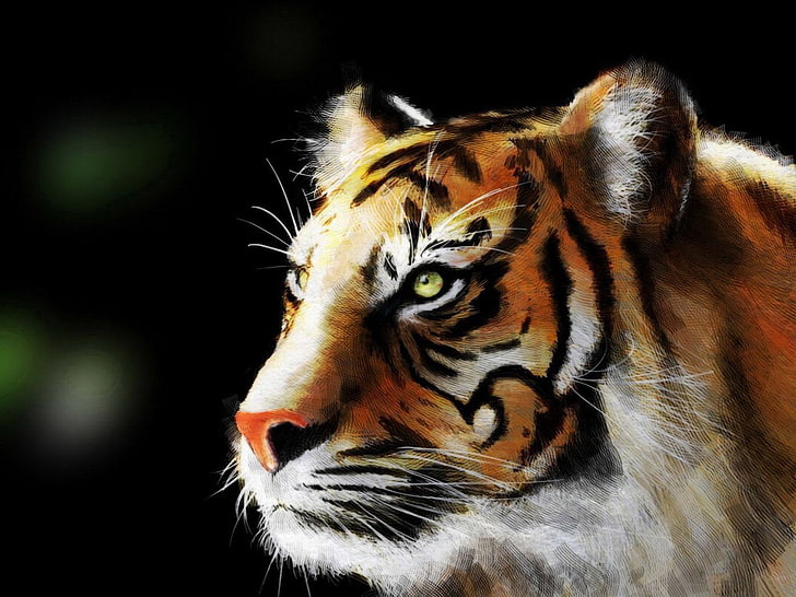 tiger painting, Cats, animal, wildlife, carnivore, mammal, striped