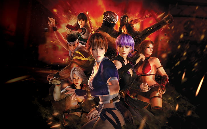 Dead or Alive 5 Poster, doa5