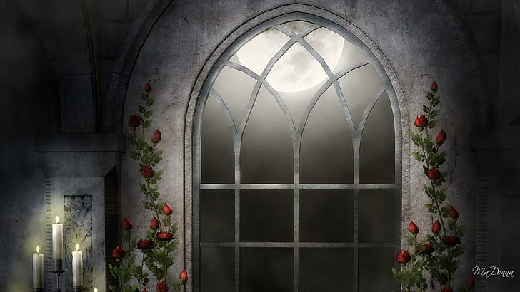 Cles In Cathedral Window, firefox persona, roses, gothic, bright, HD wallpaper