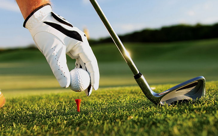 gray golf club, sports, gloves, balls, grass, activity, leisure activity