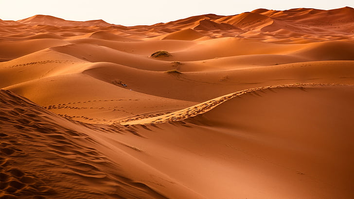 desert, sandy, dune, sand dunes, HD wallpaper