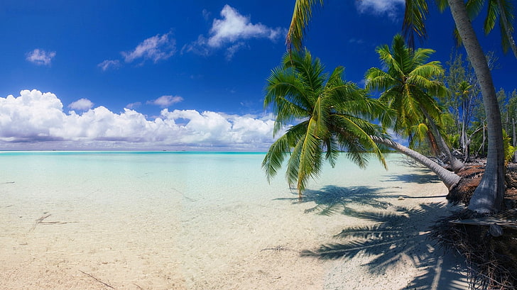 nature, landscape, beach, white, sand, island, palm trees, sea, HD wallpaper