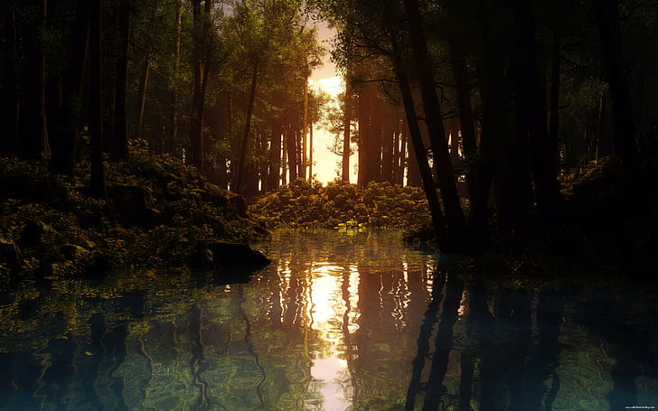 water, reflection, lake, forest, sunset, trees, nature